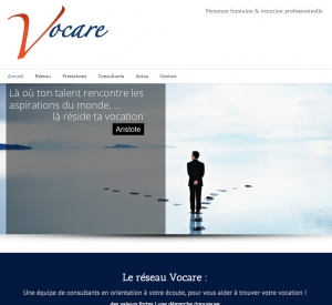 Copie d'écran de la page d'accueil du site Reseau-vocare.com